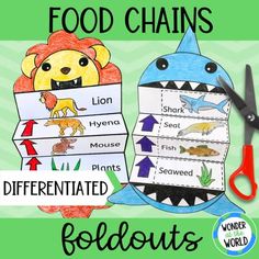 food chains with different types of animals and their names on them, in front of a green background