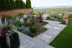 an outdoor garden with various plants and rocks