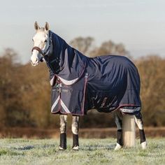 a horse wearing a blanket standing in a field