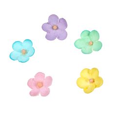 four different colored flowers on a white background