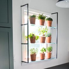 a window sill filled with lots of potted plants