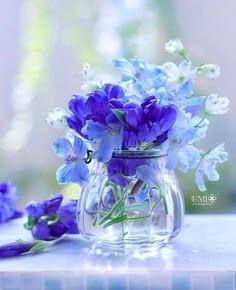 purple flowers are in a glass vase on a table