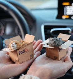 two cats are sitting in cardboard boxes on the dashboard of a car while someone holds out their hands