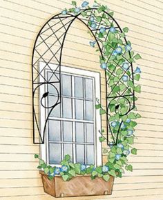 a drawing of a window with vines growing out of it