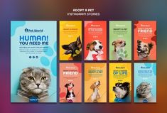 a series of posters with dogs, cats and kittens on them for the human you need me program