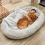 a woman laying on top of a dog bed in a living room next to a couch