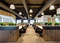 an open office with plants and desks in the center, along with hanging lights