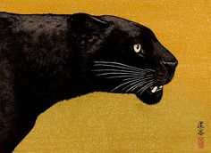 an image of a black cat with yellow background