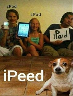 a dog is sitting on the floor with people holding up ipads and an ipod