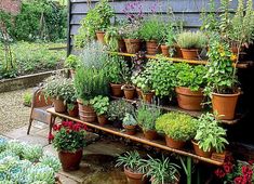 a garden filled with lots of potted plants