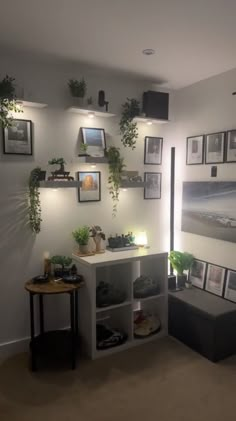 a living room filled with lots of plants and pictures