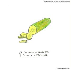 a drawing of a cucumber with the caption if you were a vegetable, you'd be a cucumber