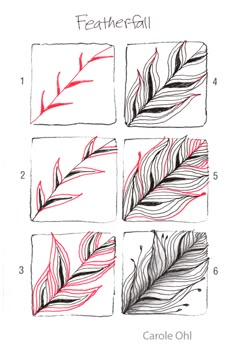 four different types of feathers with the words featherfail written in red and black