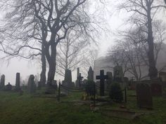 an old cemetery with many headstones and trees in the background on a foggy day