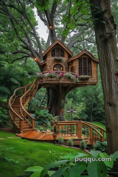 a tree house built into the side of a large tree in a lush green forest