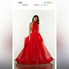 Red Tulle Dress Backless Red Fitted Organza Gown, Red Fitted Bodice Organza Dress, Red Organza Evening Dress For Prom, Elegant Red Organza Evening Dress, Red Organza Floor-length Dress, Red Floor-length Organza Dress, Red Organza Evening Dress, Red Organza Dress For Gala, Red Ball Gown For Red Carpet