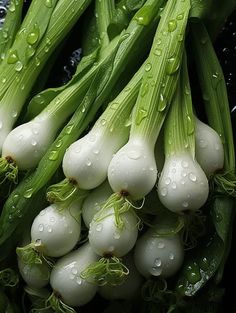 some white onions are laying on the ground with water droplets around them and green stems