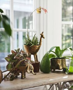 a table topped with lots of potted plants next to a window covered in windowsills