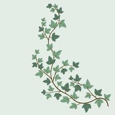 a branch with green leaves is shown on a light blue background, and the branches are arranged in three different directions