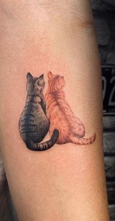 two cats sitting next to each other on the arm, one is looking at the other