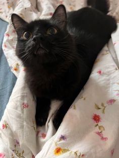 a black cat laying on top of a bed covered in floral sheets and blanketes