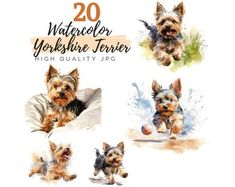 watercolor yorkshire terrier puppies in various poses