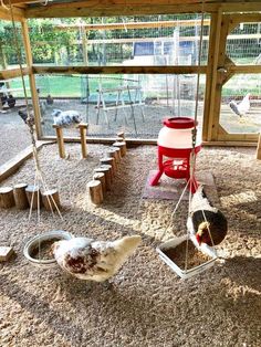 two chickens in a coop with swings and feeders