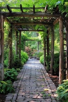 a stone walkway surrounded by greenery and trees