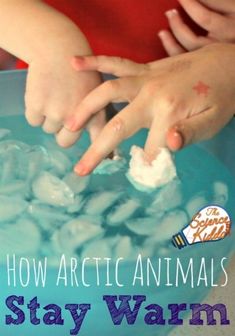 two children are playing with an ice cube in a blue bowl and the text how arctic animals stay warm