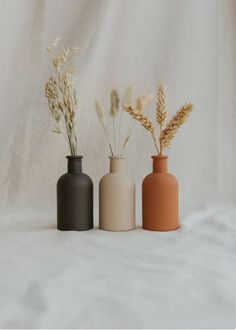 three vases with plants in them sitting on a white sheeted surface, one is empty and the other has no leaves