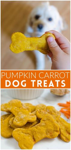 pumpkin carrot dog treats are the perfect treat for dogs to eat with their owners and family