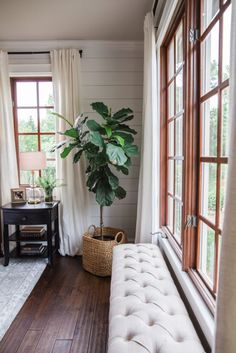 a living room filled with furniture and a potted plant on top of a window sill