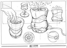 the drawing shows how to make a potted plant