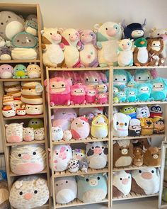 the shelves are filled with stuffed animals and other items in various colors, sizes and shapes