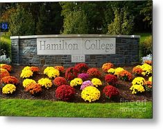 a sign for the college with flowers in front of it metal print by panoramic images