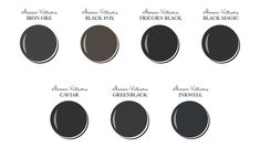 the different shades of black paint for walls and ceiling in various colors, with names on them