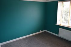 empty room with green walls and carpeted floor