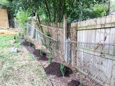 a fenced in garden area with dirt and weeds growing on the ground next to it