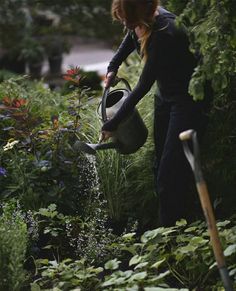 a woman watering her garden with a metal watering can in the middle of some plants