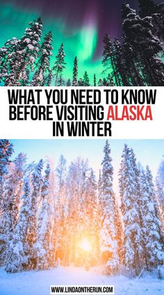 What You Need to Know Before Visiting Alaska in Winter Winter Bucket Lists, Alaska In Winter, Travel In Winter, Alaska Itinerary, Best Winter Vacations, Alaska Winter, Alaska Vacation, Winter Trip