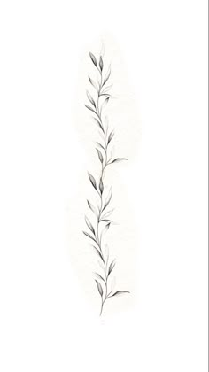 a drawing of a plant with leaves on it