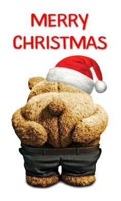 a teddy bear wearing a santa hat and black shorts with the words merry christmas on it