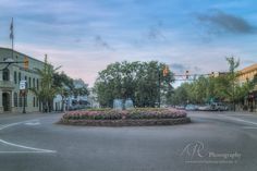 an empty intersection with flowers in the center and traffic lights above it on a cloudy day