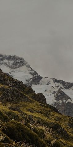 two sheep standing on top of a lush green hillside next to snow covered mountains in the distance