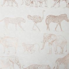 an elephant, zebra, giraffe and other animals are depicted in this wallpaper