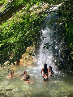 several people are swimming in the water near a waterfall and some green leaves overhanging them