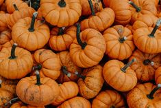 a pile of small pumpkins sitting next to each other