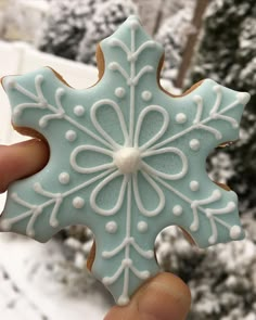 a hand holding a snowflake shaped cookie in the snow