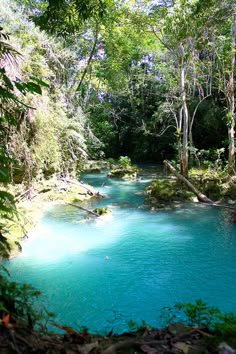 a river in the woods with blue water