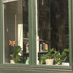 a green window with plants and books in it